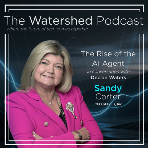 Sandy Carter SM Image.png